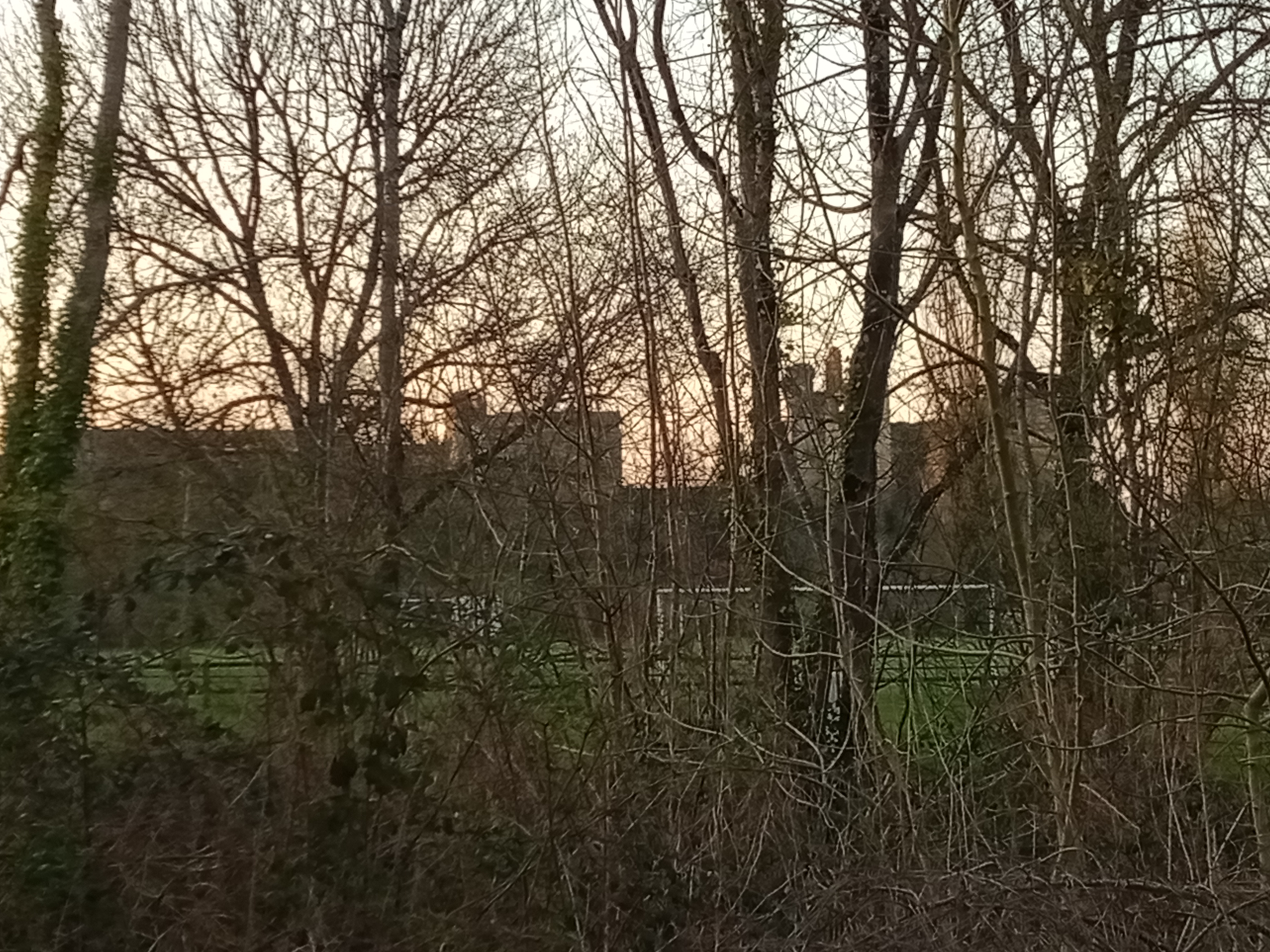 Photo n° 1 de l'avis de Elisabeth.i fait le 22/03/2021 à 17:54