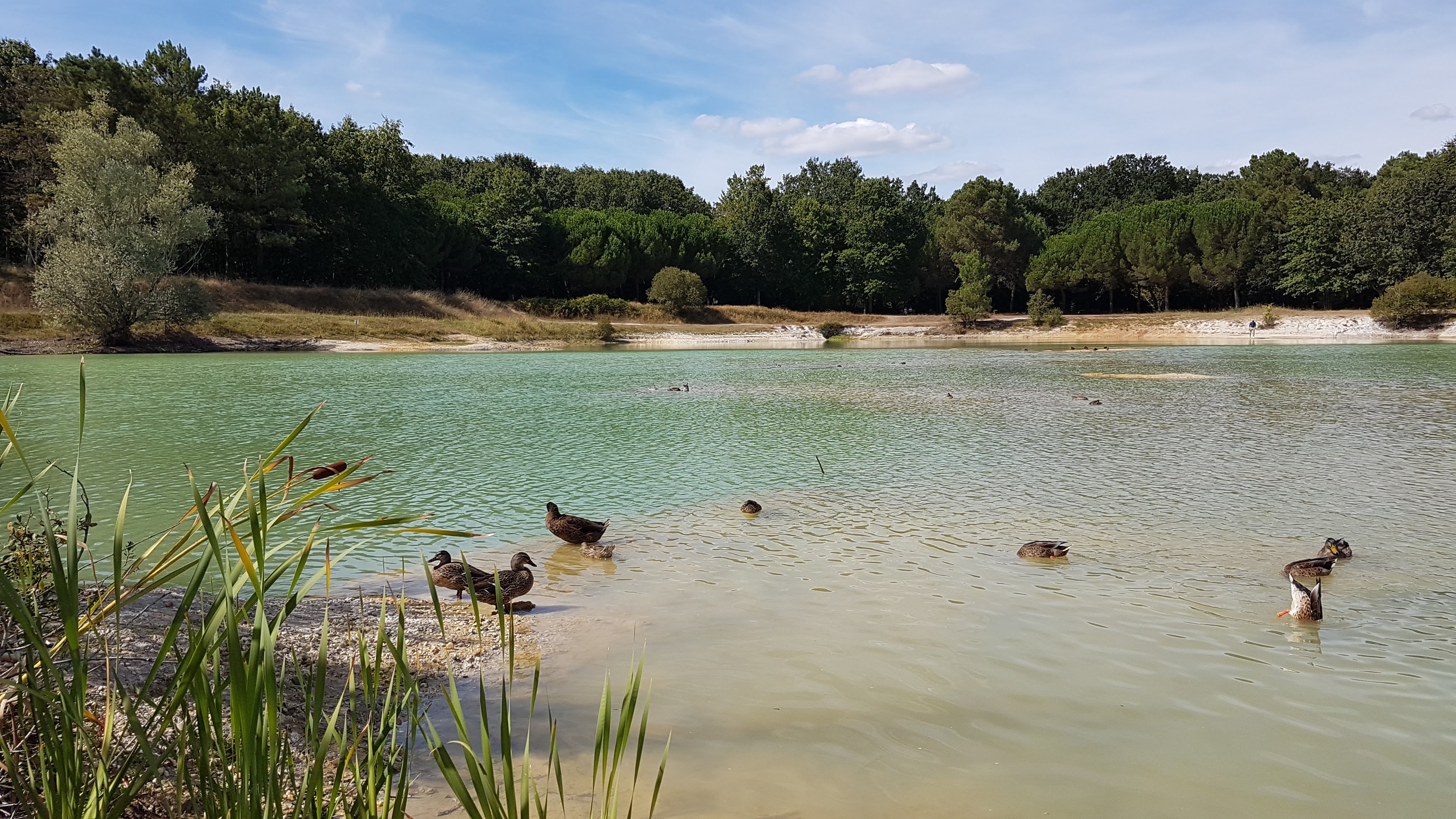 Photo n° 6 de l'avis de Alae. fait le 04/10/2019 à 16:23