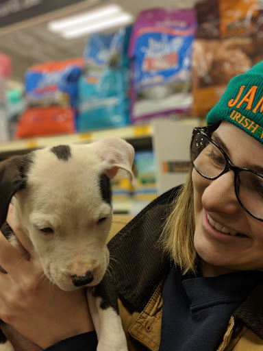 Pet Supply Store «PetSmart», reviews and photos, 3341 N Montana Ave, Helena, MT 59602, USA