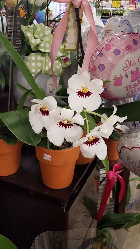 Shopping Mall «Crossings Shopping Center», reviews and photos, 3393 Deer Valley Rd, Antioch, CA 94531, USA