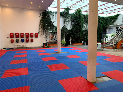 Taekwondo Centro de Formación Deportiva y Alto Rendimiento