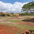 Kupuohi Neighborhood Park