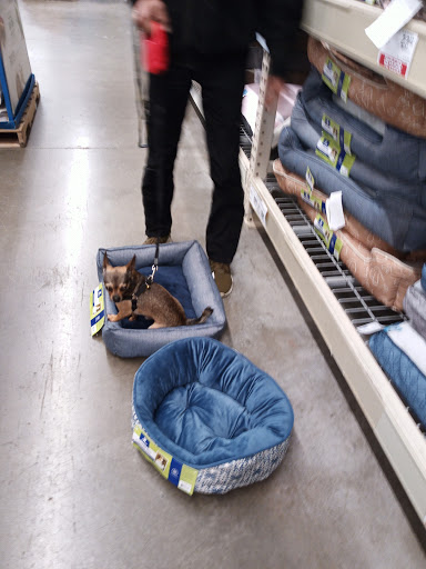 Pet Supply Store «PetSmart», reviews and photos, 9450 SE 82nd Ave, Portland, OR 97086, USA