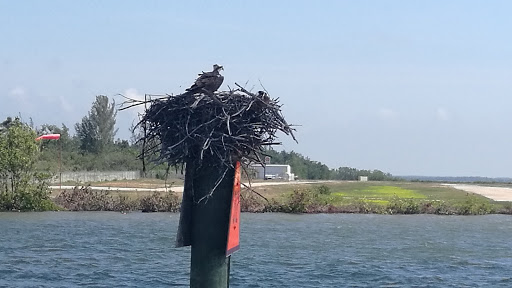 Nature Preserve «Big Cypress National Preserve», reviews and photos