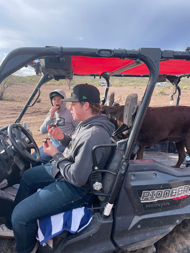 Honda Dealer «Western Honda Powersports», reviews and photos, 6717 E McDowell Rd, Scottsdale, AZ 85257, USA