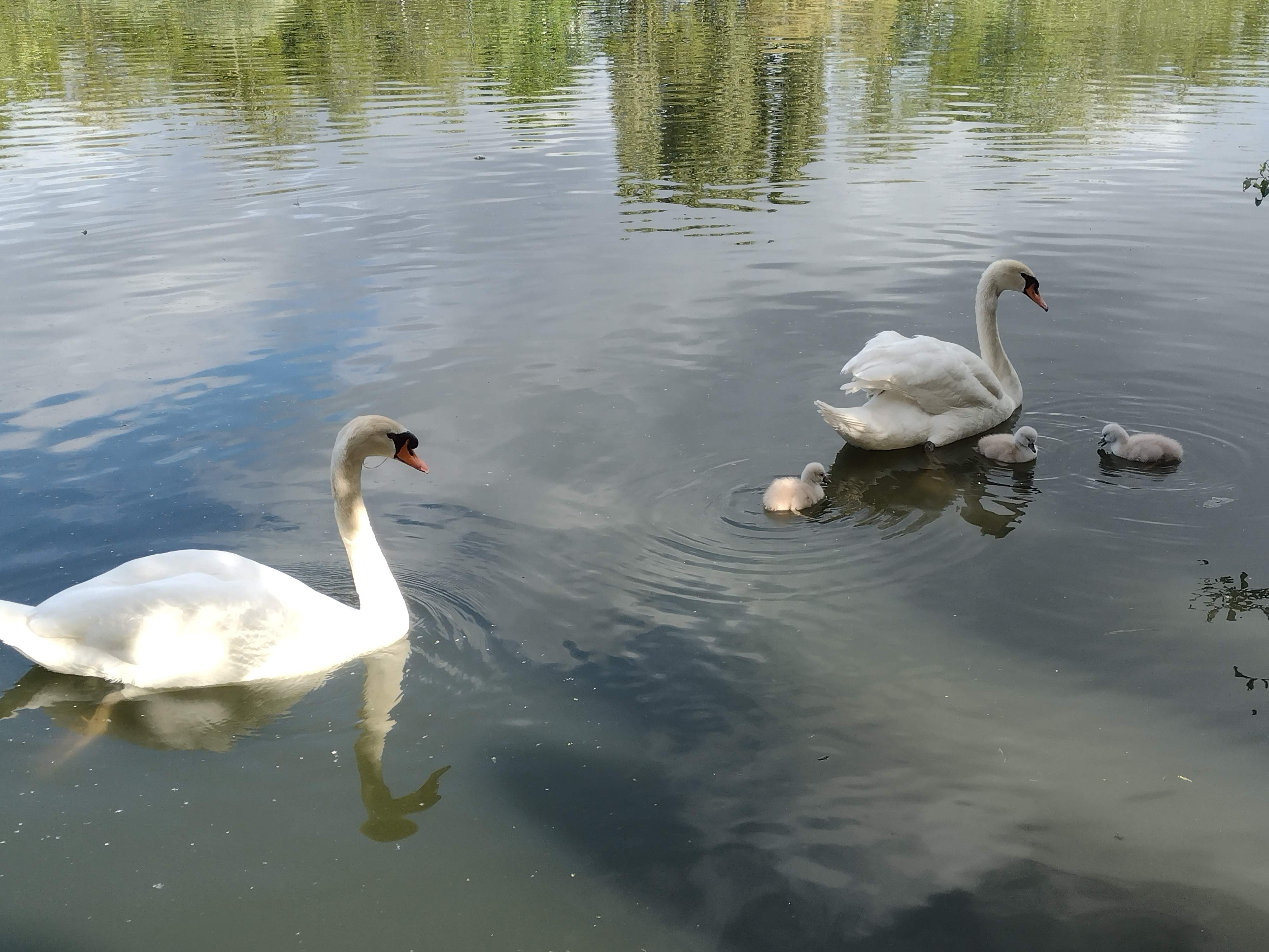 Photo n° 1 de l'avis de Thierry.I fait le 08/12/2021 à 15:26