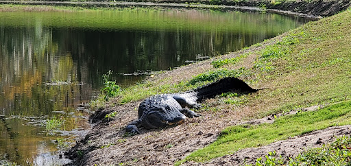 Golf Course «Deer Island Country Club», reviews and photos, 18000 Eagles Club House Way, Tavares, FL 32778, USA
