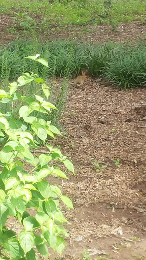 Electrician «X Treme Electric», reviews and photos, 1102 Montpelier Dr, Greensboro, NC 27410, USA