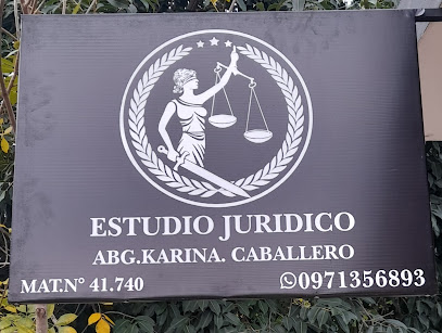 Estudio Juridico Borba & Caballero