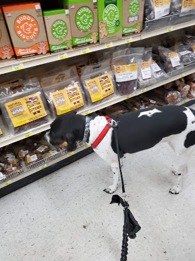 Department Store «Runnings of Watertown», reviews and photos, 1701 9th Ave SE, Watertown, SD 57201, USA