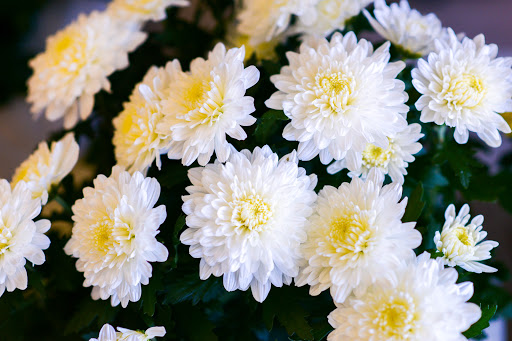 Florist «Melody Flowers», reviews and photos, 14520 Brookhurst St, Westminster, CA 92683, USA