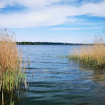 Photo n°4 de l'avis de SamS. fait le 23/05/2023 à 17:59 sur le  Gut Rothensande à Malente