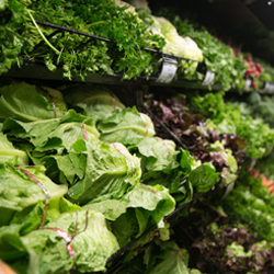 Grocery Store «Fred Meyer», reviews and photos, 3300 Portland Rd, Newberg, OR 97132, USA