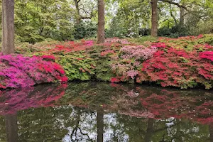 Still Pond image