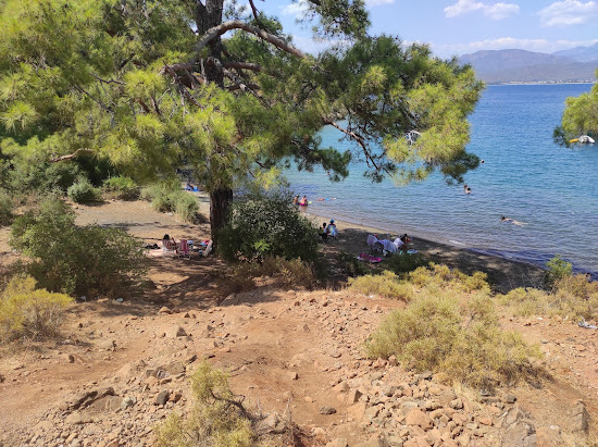 Gazi Koyu