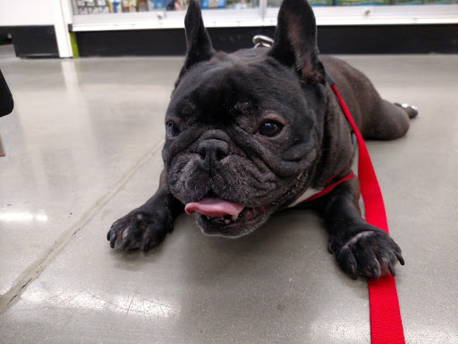 Pet Supply Store «Petco Animal Supplies», reviews and photos, 12638 Capital Blvd, Wake Forest, NC 27587, USA