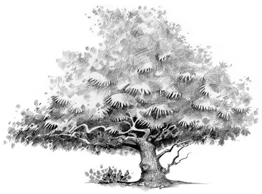 Permian Basin Area Foundation