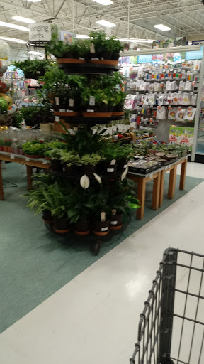 Grocery Store «Meijer», reviews and photos, 2591 E M 21, Corunna, MI 48817, USA