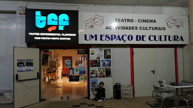 Teatro Experimental Flaviense - Outro