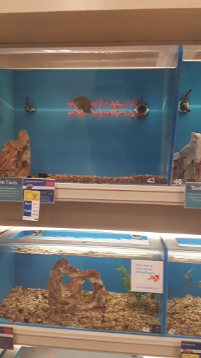 Pet Supply Store «PetSmart», reviews and photos, 4230 Pueblo Fwy, Pueblo, CO 81008, USA
