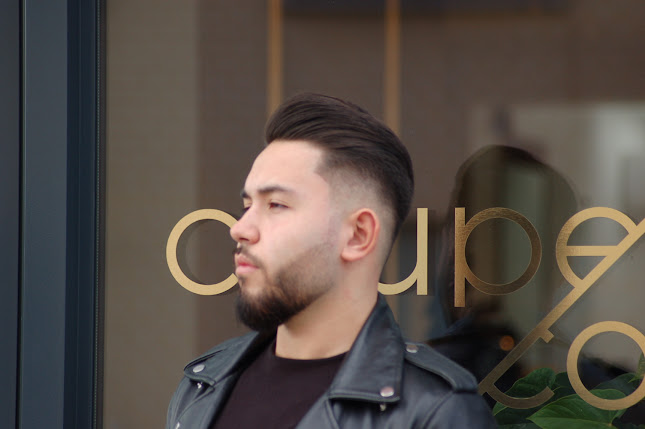 https://www.book-coupecoupe.com/galrij