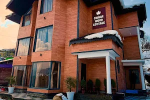 Chinar Wood Cottage image