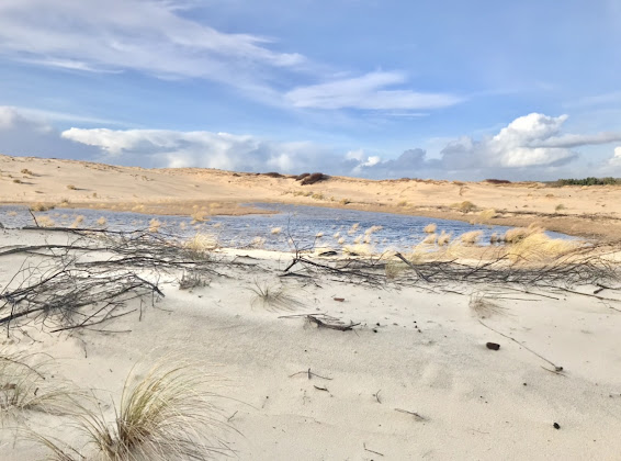 Photo Location d'appartement de vacances Conciergerie intendance Océane 40600 Biscarrosse