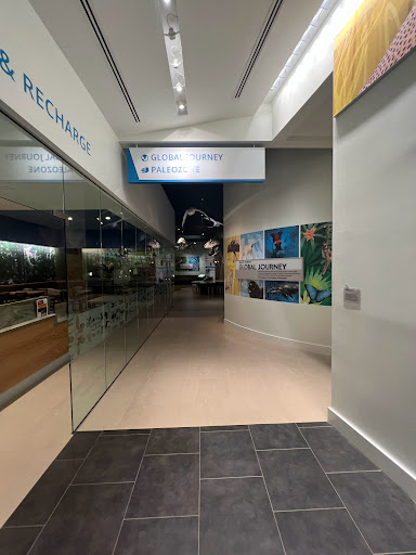 Museum «Delaware Museum of Natural History», reviews and photos, 4840 Kennett Pike, Wilmington, DE 19807, USA