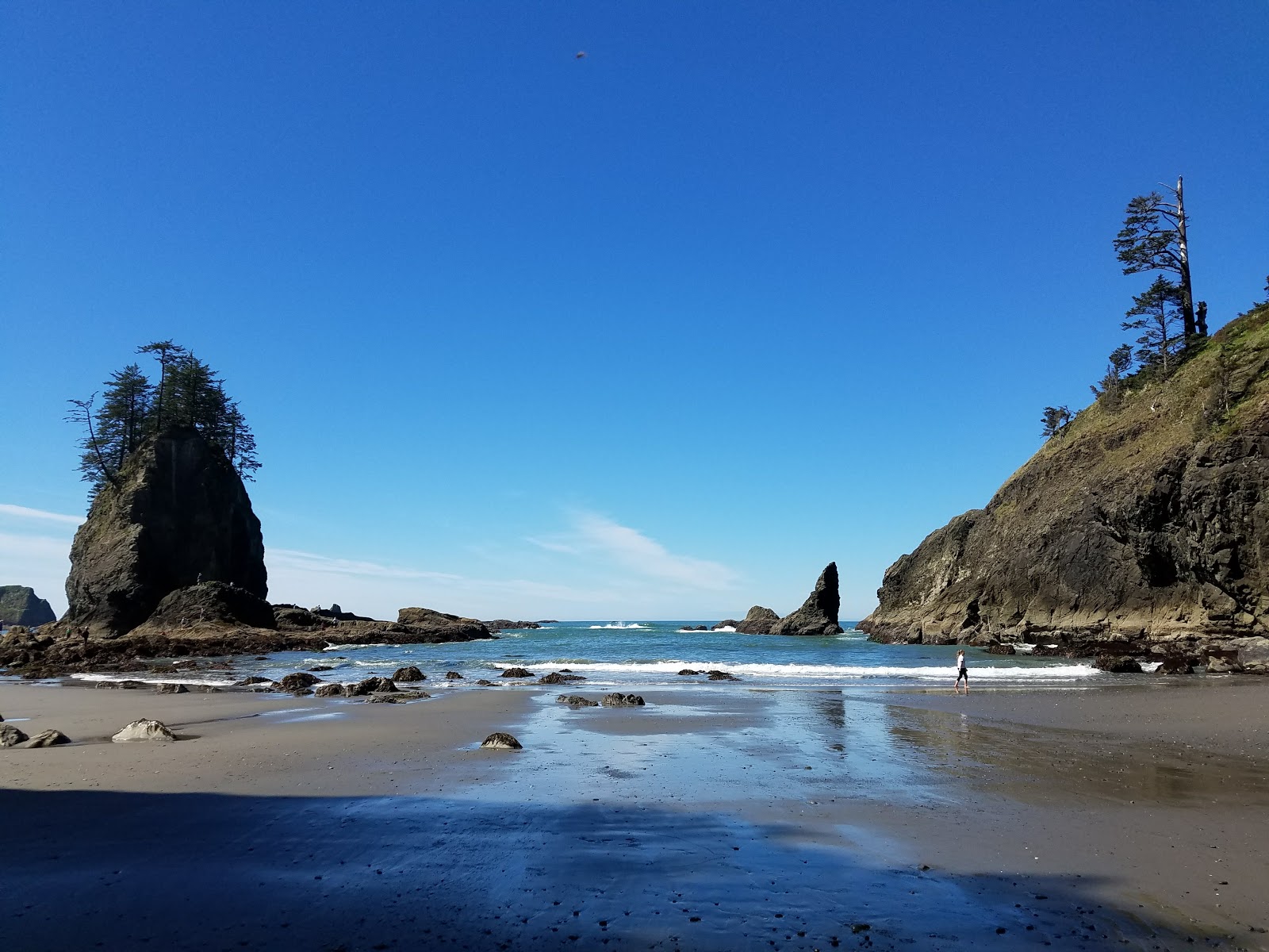 Fotografija Second Beach Quileute Res. z visok stopnjo čistoče