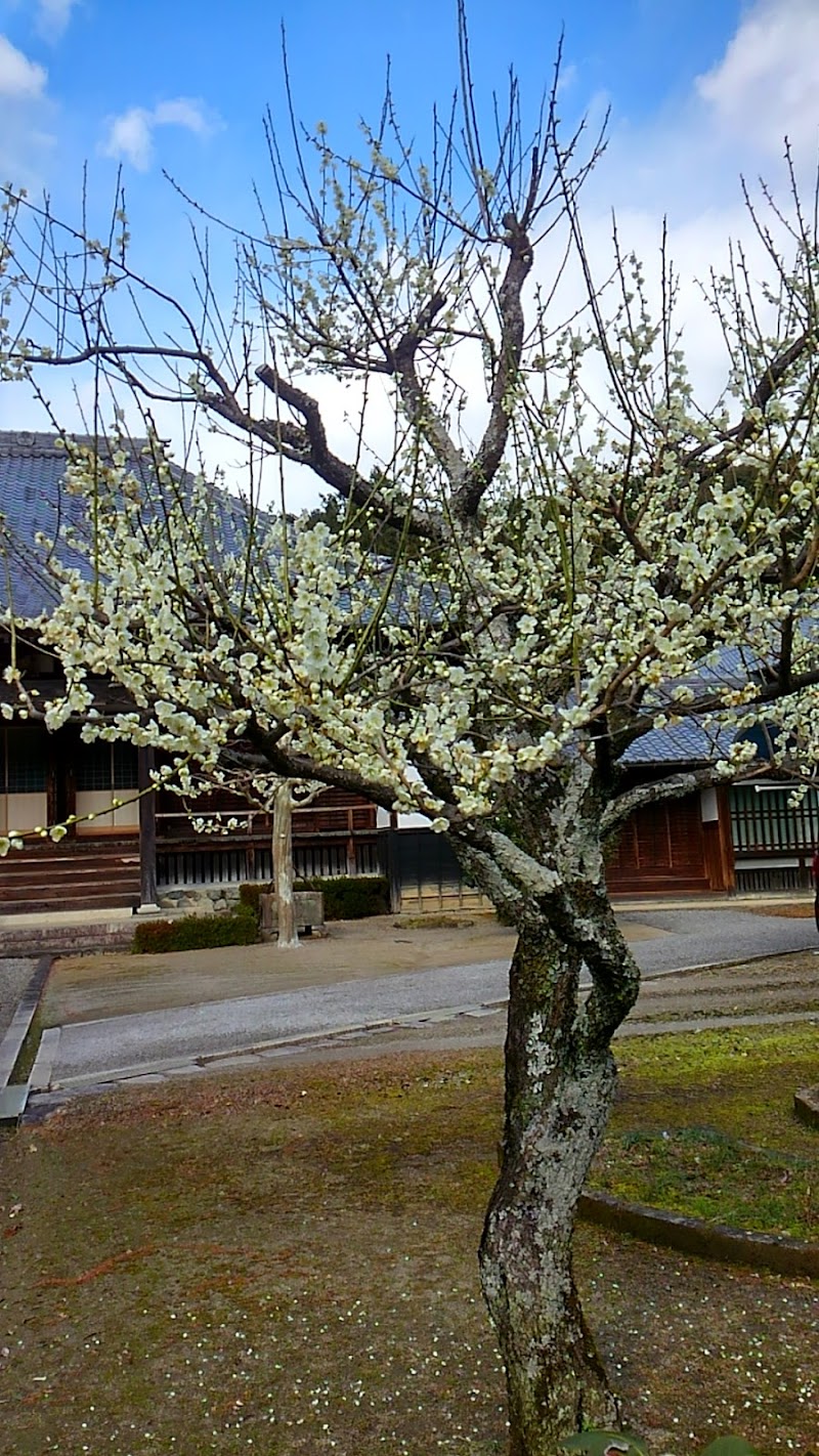 見性寺