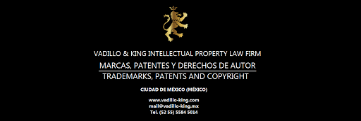 Registro de la propiedad intelectual Nezahualcóyotl