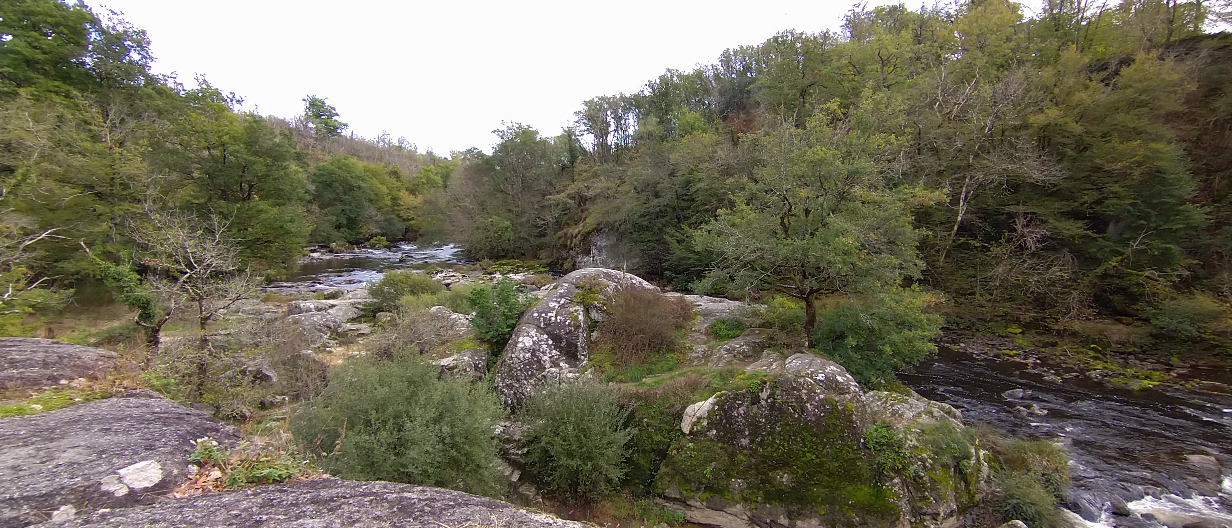 Photo n° 9 de l'avis de loosainto. fait le 27/10/2022 à 15:08