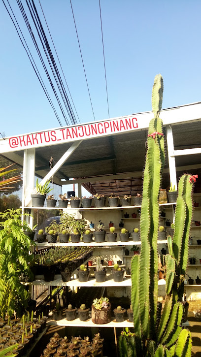 Rumah Kaktus Tanjungpinang • KEPRI •