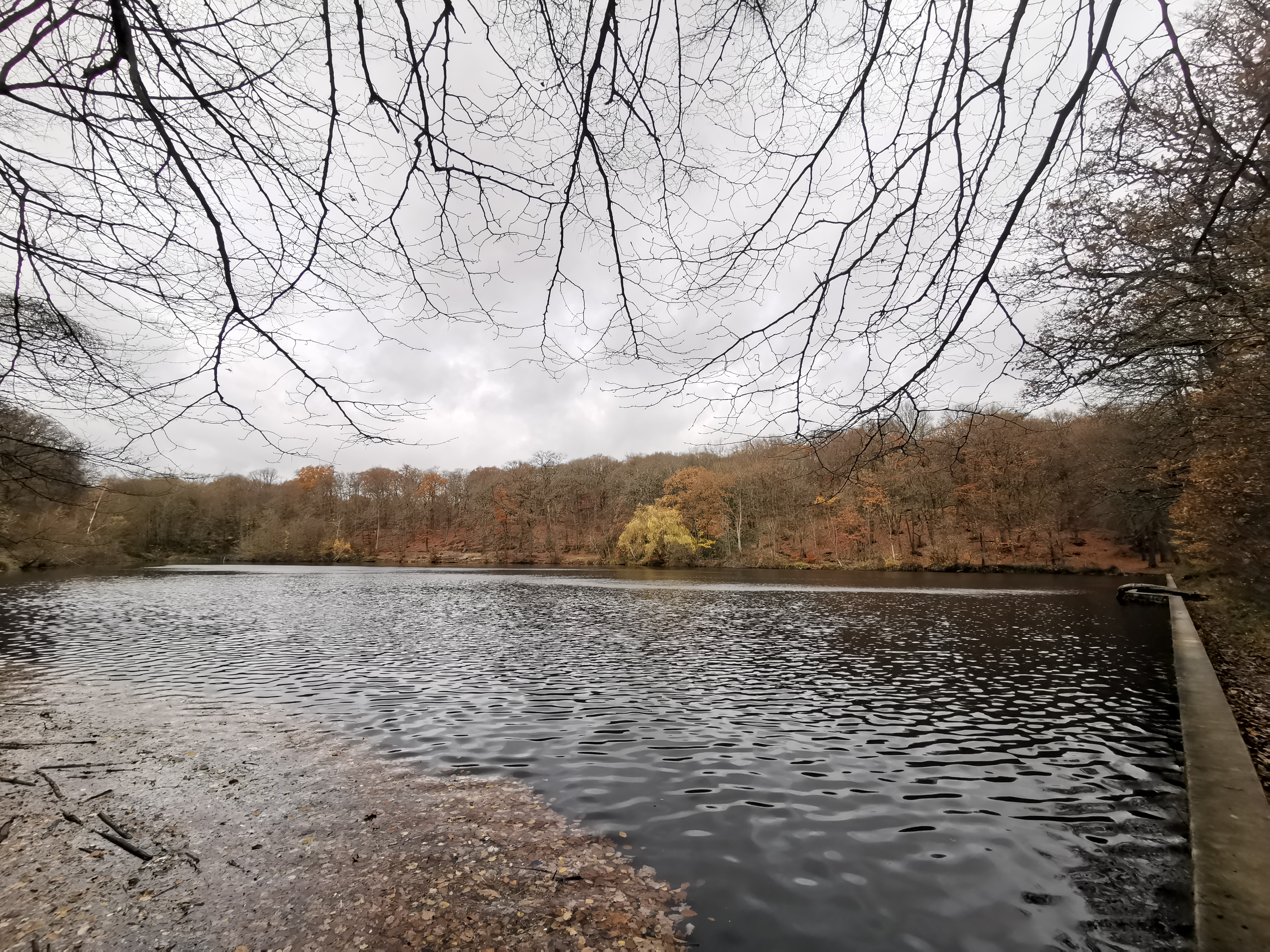 Photo n° 18 de l'avis de Thomas.i fait le 08/11/2019 à 08:31