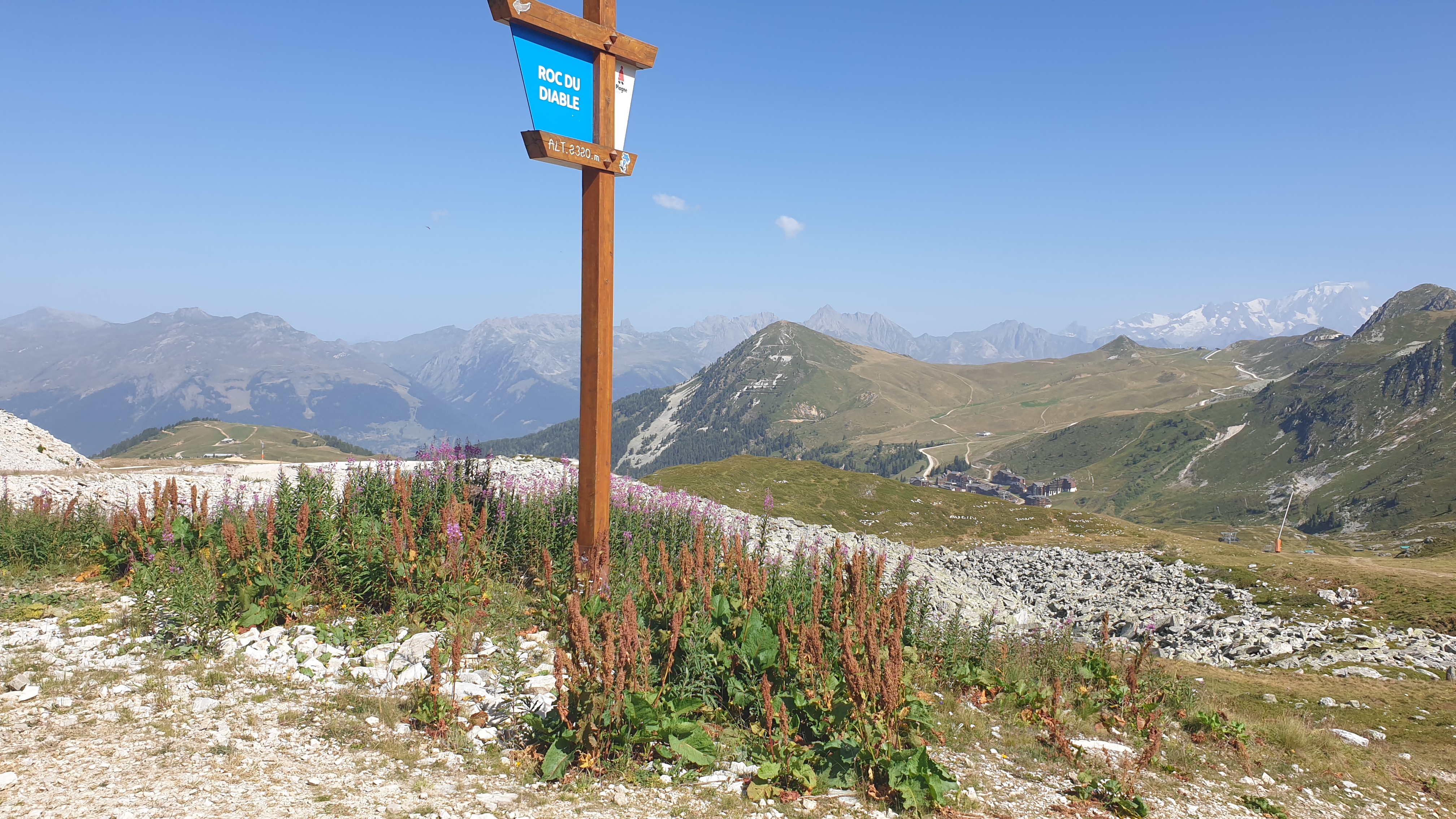 Photo n° 1 de l'avis de Paul.a fait le 25/08/2023 à 17:08