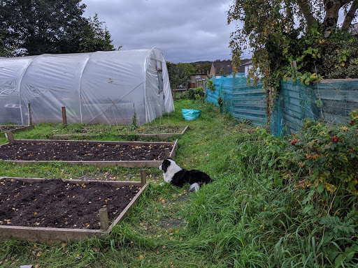 Shipley Hope Garden