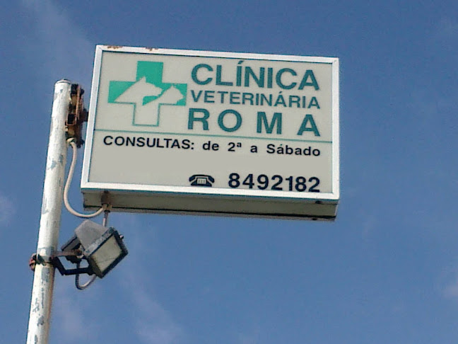 Clínica Veterinária Roma