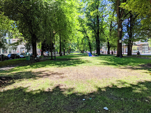 Park «North Park Blocks», reviews and photos, 235 NW Park Ave, Portland, OR 97209, USA