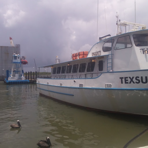 Museum «Texas Seaport Museum», reviews and photos, 2100 Harborside Dr, Galveston, TX 77550, USA