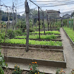 Photo n°13 de l'avis de Nelvia.i fait le 15/08/2020 à 19:19 sur le  Antica Trattoria Vigna à Castelnovo del Friuli