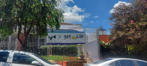 Gato.Cão - Clínica Veterinária em Piracicaba - SP