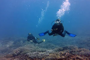 BalinGo Scuba Diving image