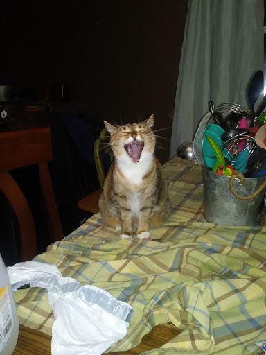 Home Improvement Store «The Home Depot», reviews and photos, 600 Terry Rich Blvd, St Clair, PA 17970, USA