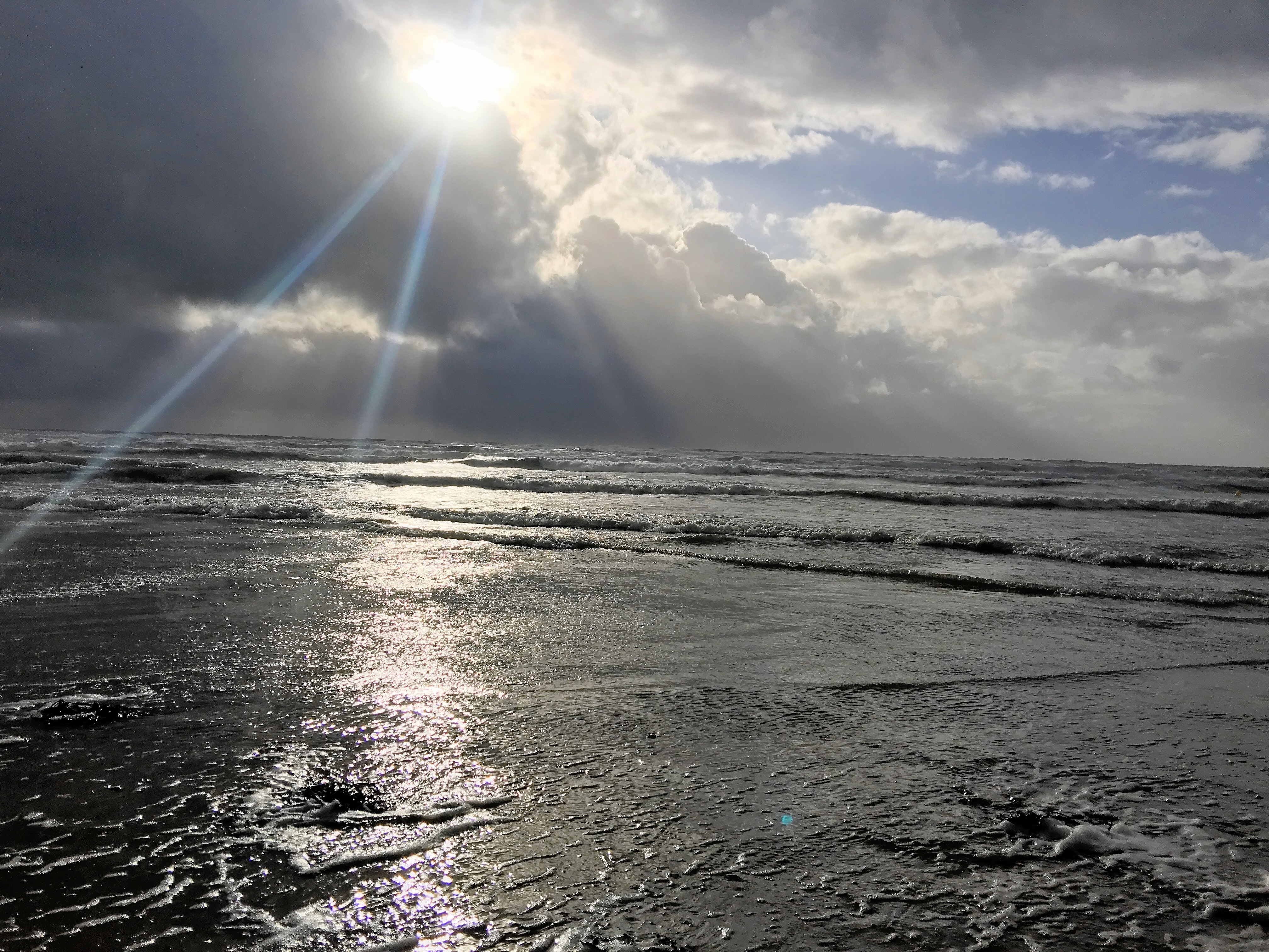 Photo n° 8 de l'avis de Alain.e fait le 17/02/2019 à 16:03