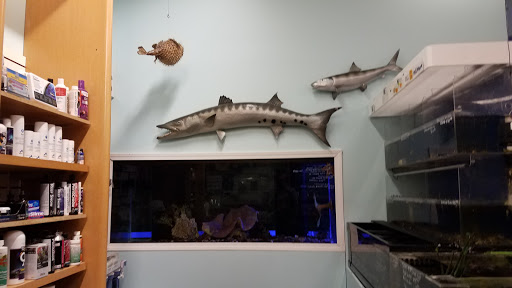 Pet Store «Movie Vault & PETropoliS live», reviews and photos, 1296 Anderson City Rd, Lawrenceburg, KY 40342, USA