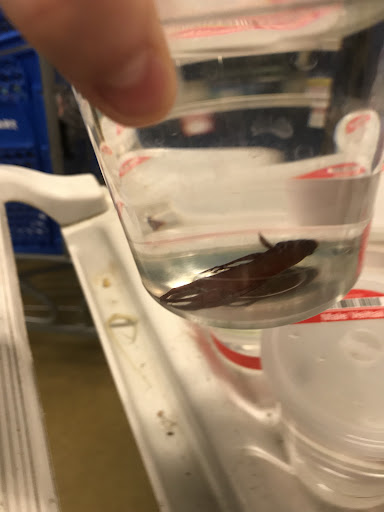 Pet Supply Store «PetSmart», reviews and photos, 3210 E Lynn Blvd, Sterling, IL 61081, USA