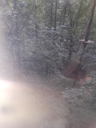 Recreation Center «Go Ape Zip Line & Treetop Adventure - Rock Creek Regional Park», reviews and photos, 6129 Needwood Lake Dr, Rockville, MD 20855, USA