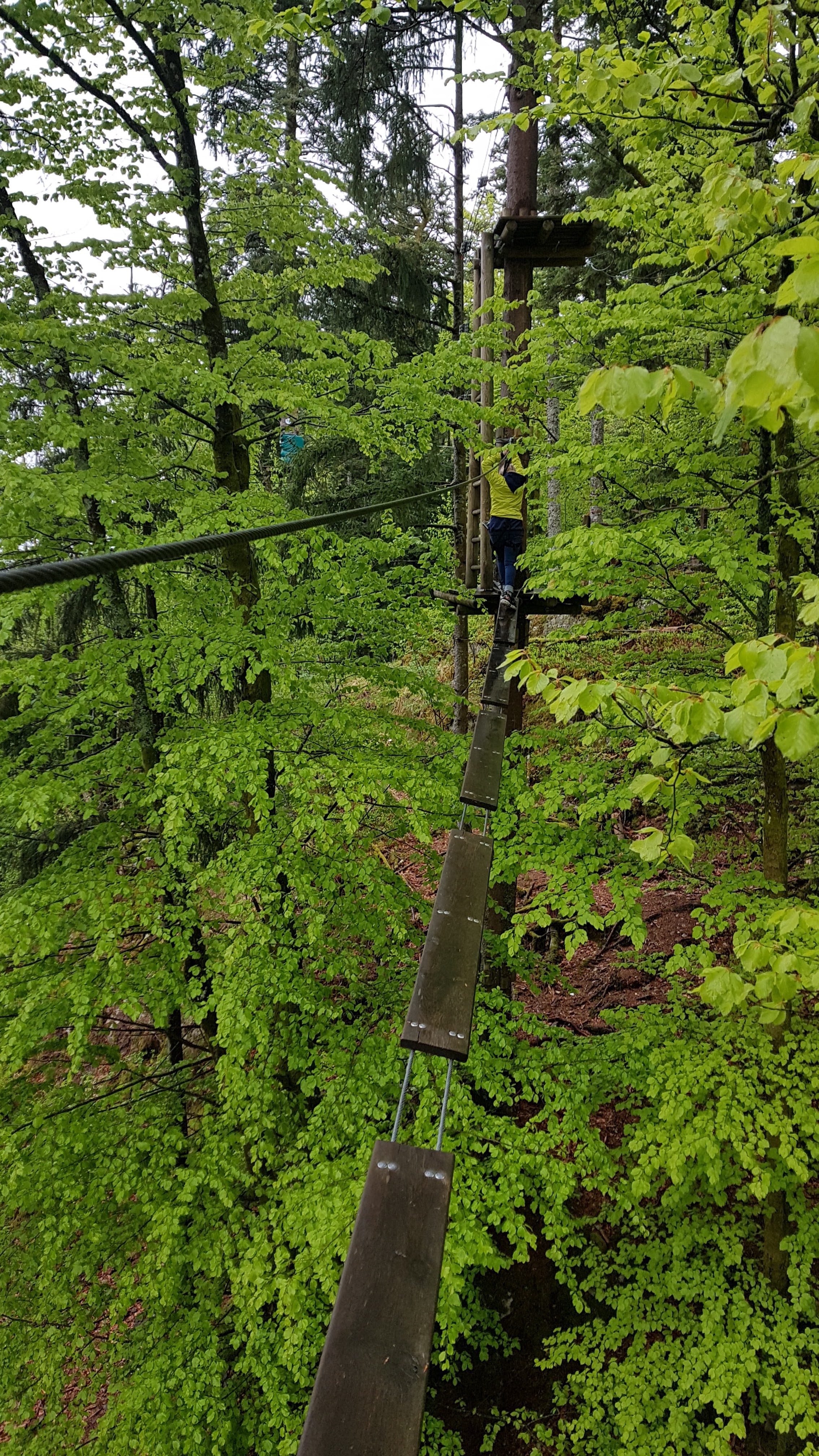 Photo n° 7 de l'avis de Erwin.u fait le 08/05/2019 à 06:26