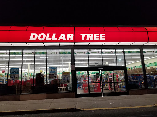 Dollar Store «Dollar Tree», reviews and photos, 24 Portland Ave, Bergenfield, NJ 07621, USA