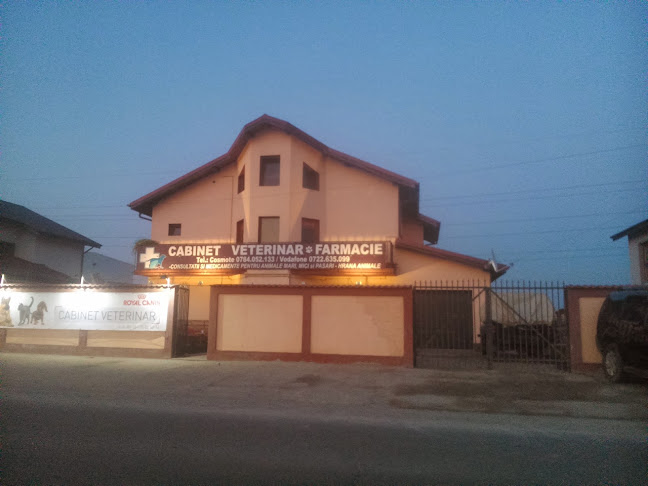 Vet Universal Consulting - Berceni